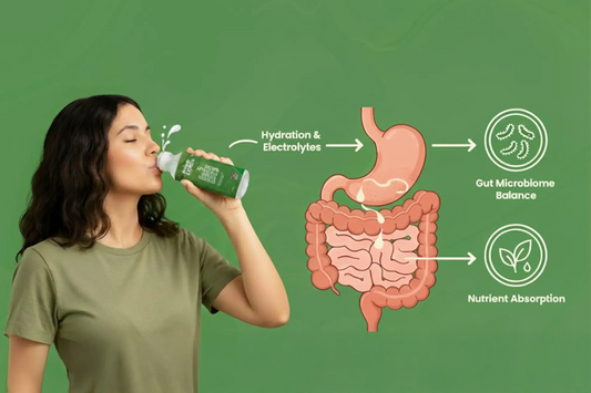 Woman drinking coconut water illustrating digestion and gut health benefits