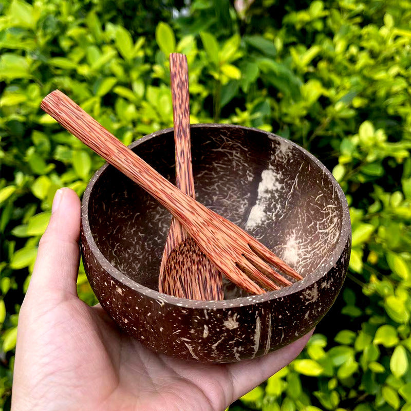 Natural coconut shell bowl set with wooden spoon and fork, held in hand outdoors against green leafy background