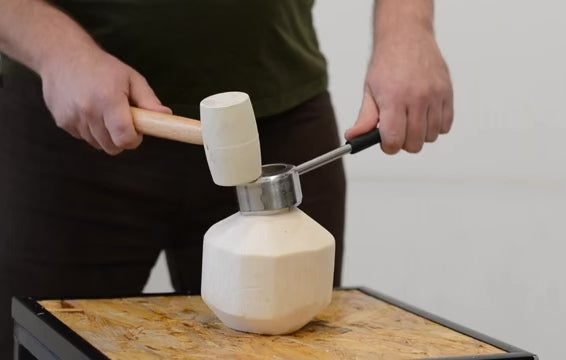 How to open a young coconut using stainless steel coconut opener and rubber mallet step by step